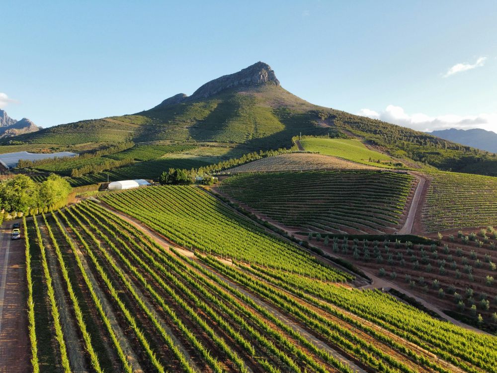 Unlock the magic of South Africa's hidden gems: why second city travel is a must