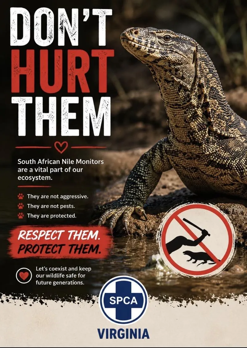 Arrests made after ‘brutal’ killing of Nile Monitor Lizard: Authorities warn of harsh penalties
