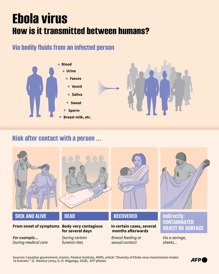 Infographic showing how the Ebola virus can be transmitted between humans.