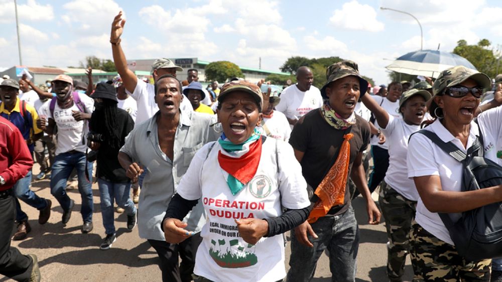 ‘I don’t know what Dudula is saying’: Gauteng MEC says 97% of learners placed are South African