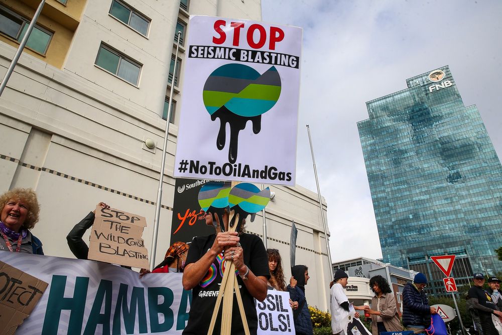 Wild Coast Seismic Survey saga: Shell, Impact Africa and Mantashe seek ...