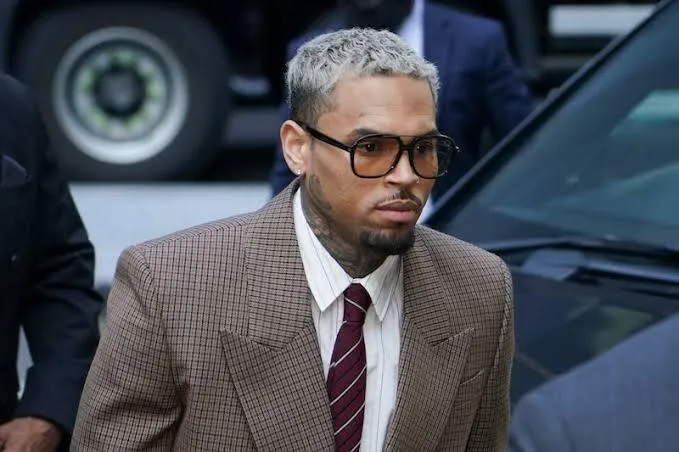 Chris Brown's negligence results in significant verdict in dog attack case.