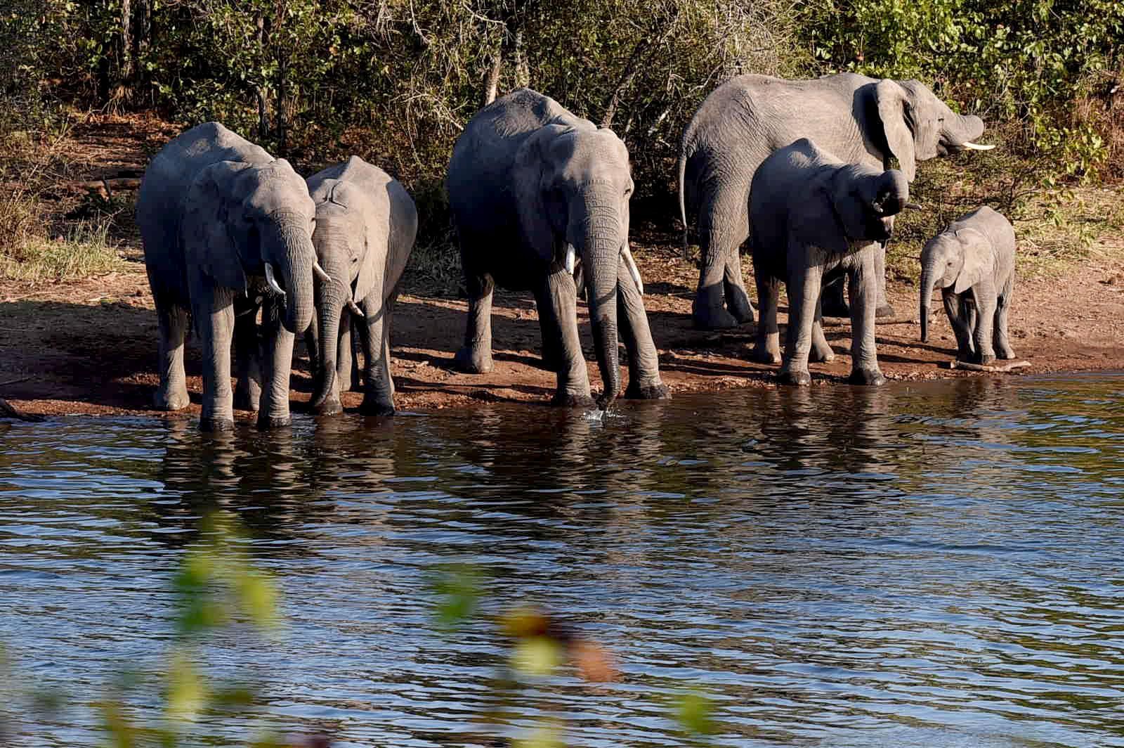 No name change for Kruger National Park, confirms Environment Minister Dion George