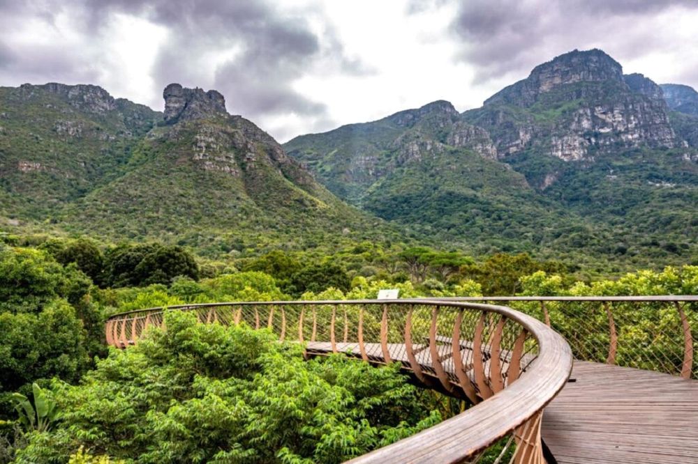 How Russian travellers are reshaping Africa's tourism landscape