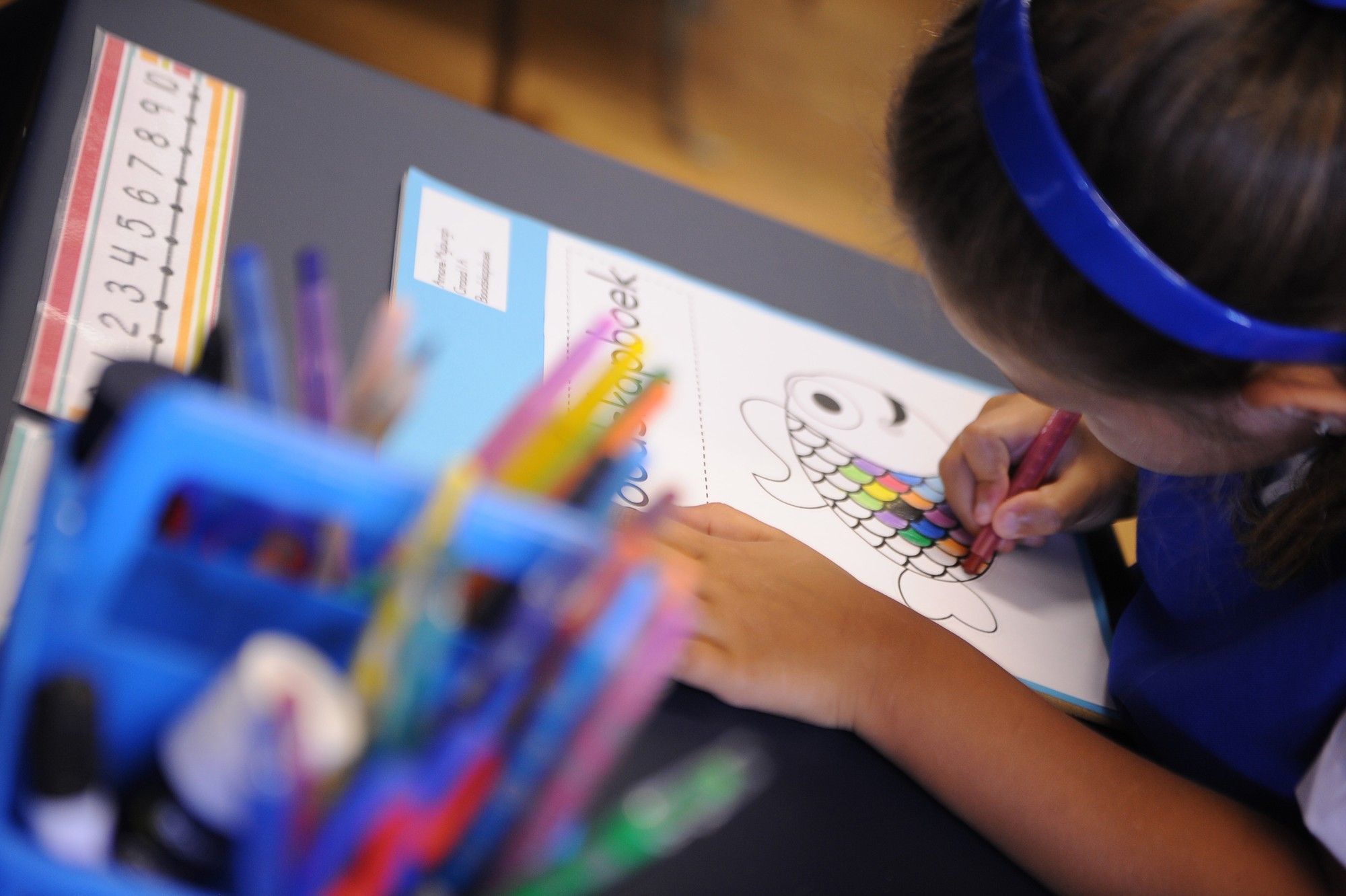 Registration now open for Western Cape pupils entering Grade 1 and ...