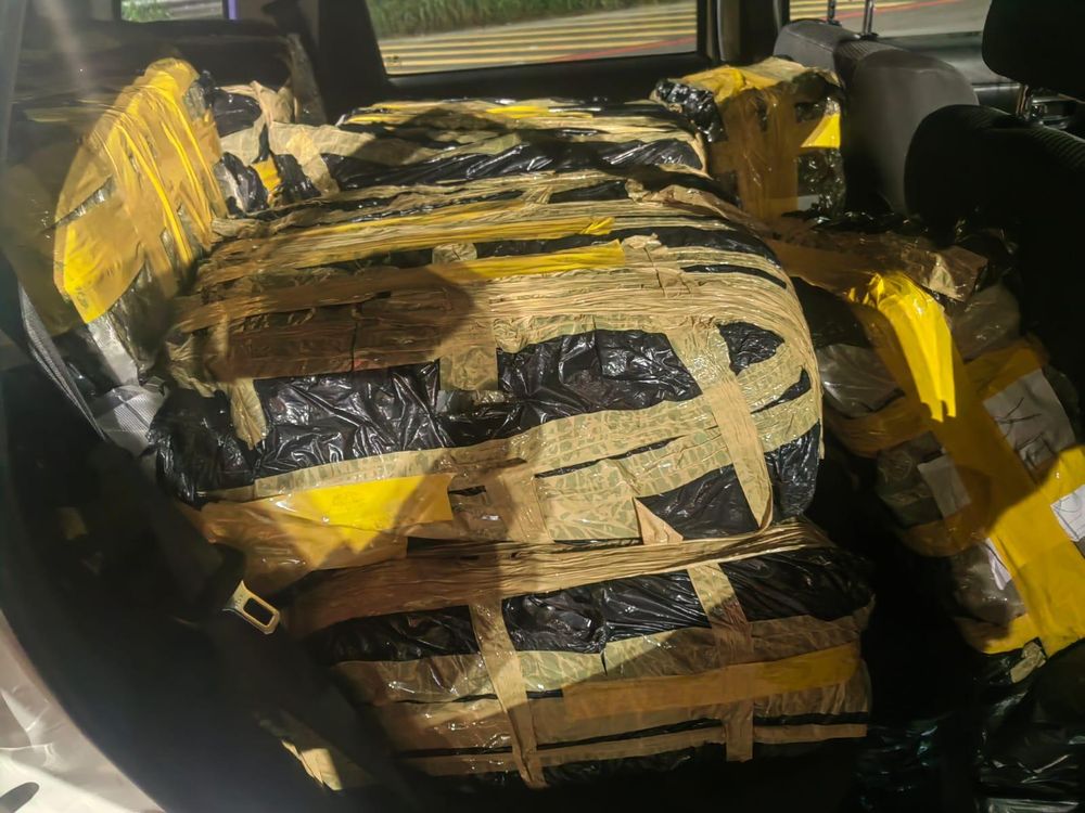 Traffic officers intercept dagga at Tsitsikamma toll plaza