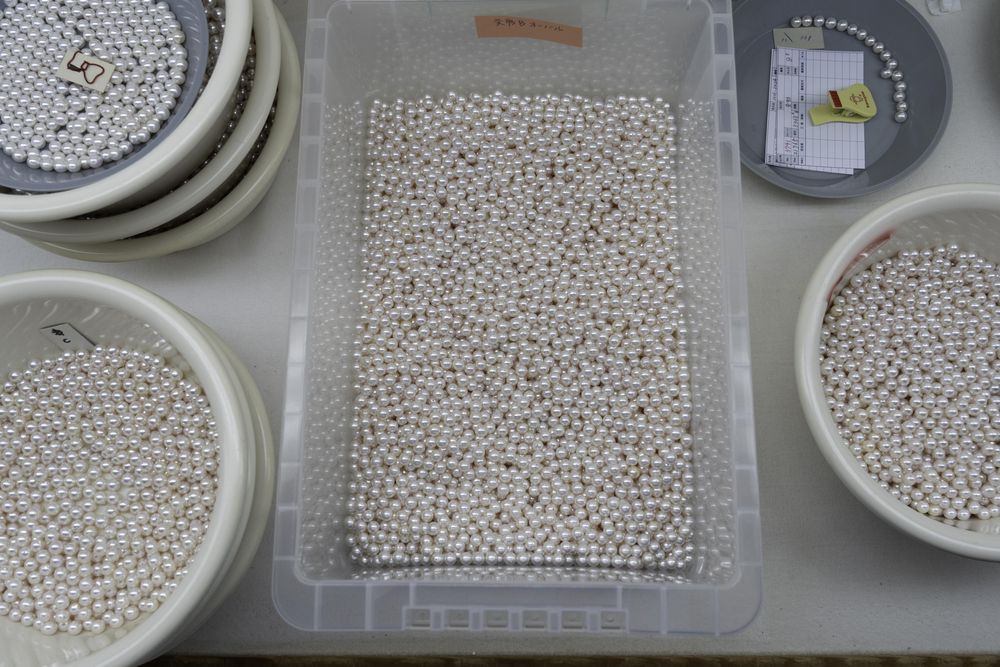 Japan’s ‘Rolls-Royce of pearls’ threatened by climate change, aging farmers