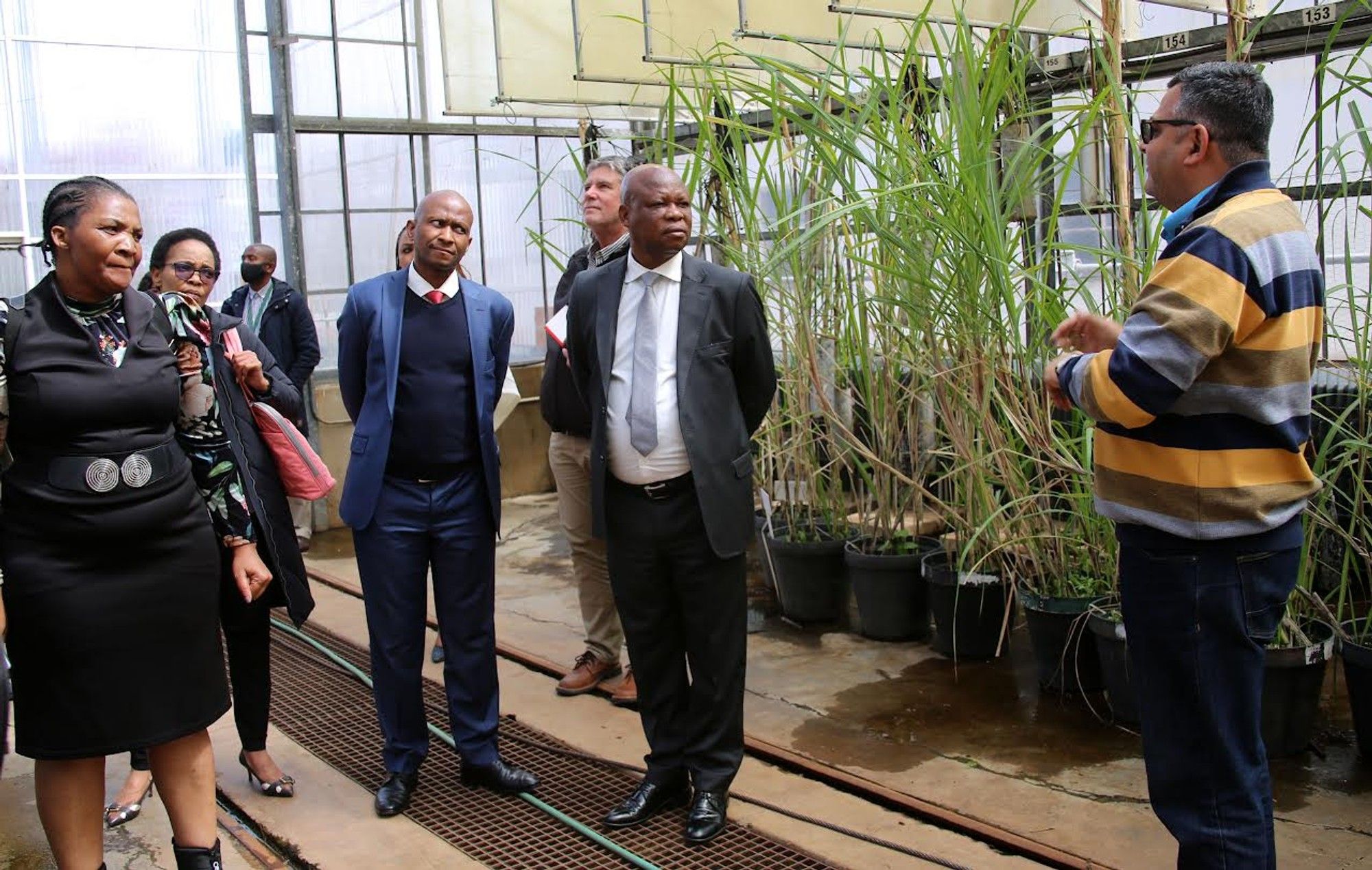 Agriculture MEC on plans to limit sugar exportation due to heavy loss ...