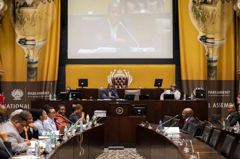 Mkhwanazi ad hoc committee deadline now moved to March 31