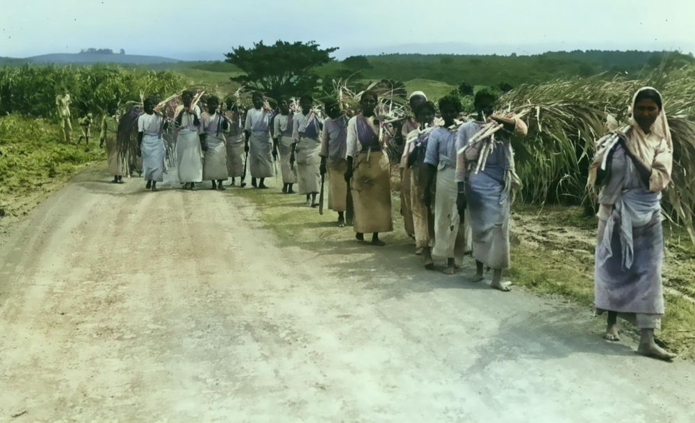 Commemorating 165 years of indenture to South Africa: challenging Thala Vidhi in search of a better life