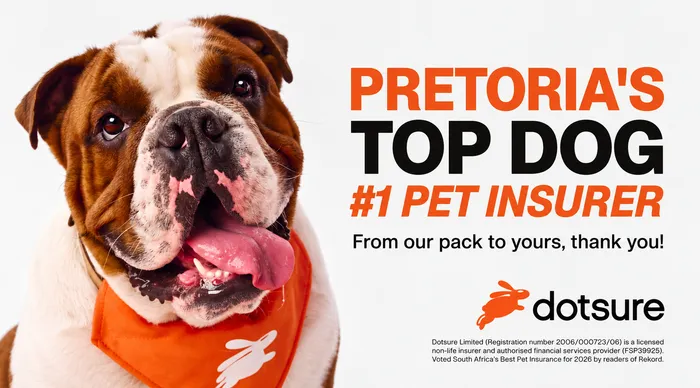 Dotsure celebrates recognition for wholehearted pet insurance