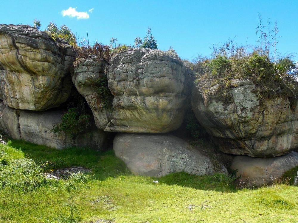 Ancient DNA shows syphilis was rooted in the Americas