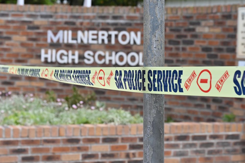 Education Committee hails decision to expel Milnerton High School bullies