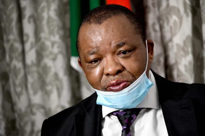 Minister of Mineral Resources and Energy Gwede Mantashe Picture: GCIS