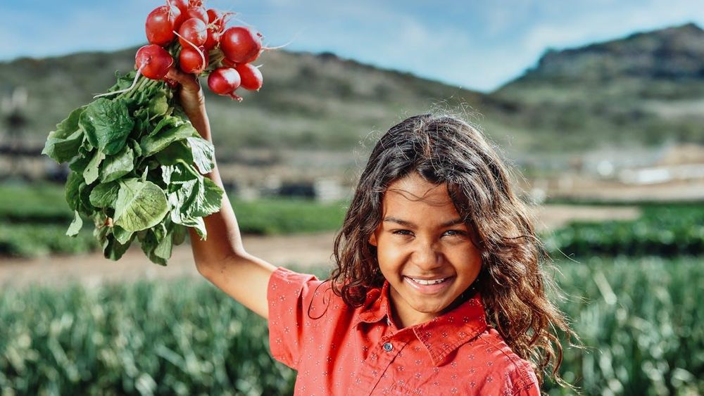 Is your child at risk? New research links pesticides to serious brain development issues in South Africa