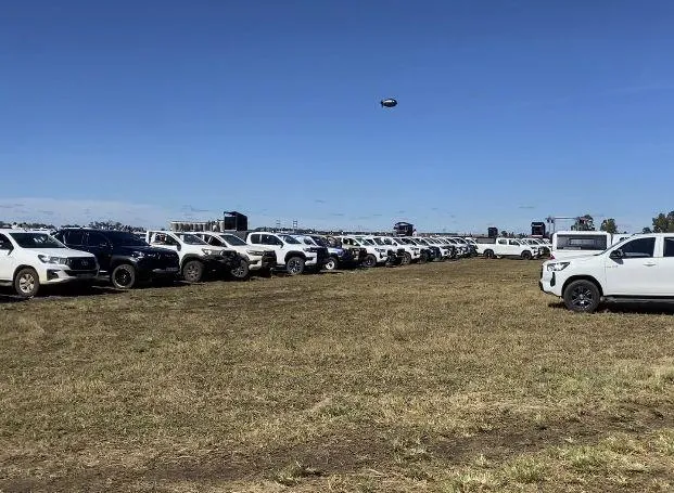 Over a thousand Hilux bakkies gathered at Nampo to attempt a number of official and unofficial records.