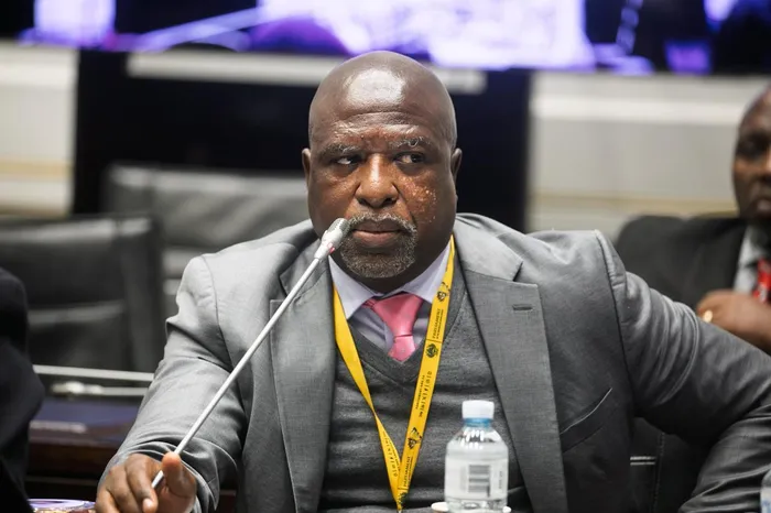 Chairperson of Parliament’s Ad Hoc Committee, Soviet Lekganyane.