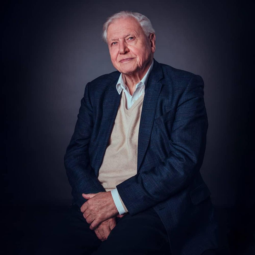 Alyssia Birjalal|Published 5 minutes ago Emmys 2026: David Attenborough makes history while ‘Stranger Things’ faces brutal snub